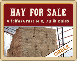 Hay Bales