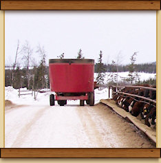 Winter Feed for our farm raised beef cattle