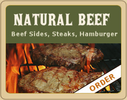 Natural Beef Banner